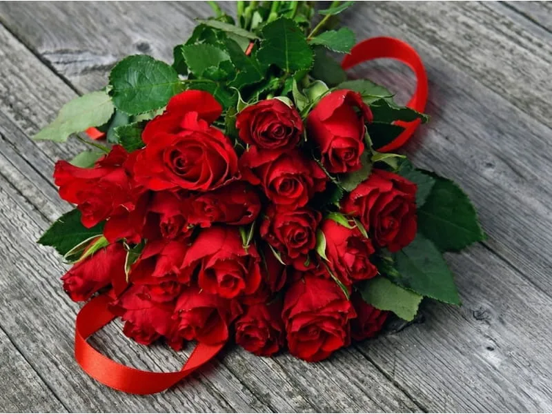 Thể hiện lòng biết ơn và sự quan tâm